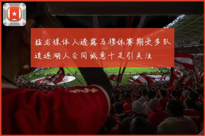 猛龙媒体人透露马穆休赛期受多队追逐湖人合同诚意十足引关注