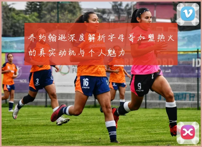 乔约翰逊深度解析字母哥加盟热火的真实动机与个人魅力